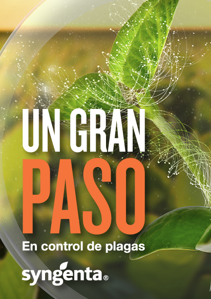 Syngenta | Virantra™ | Insecticida | Un Gran Paso en control de plagas en soja