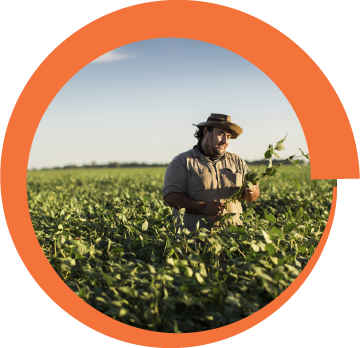 Syngenta | Virantra™ | Insecticida | Protección por más tiempo