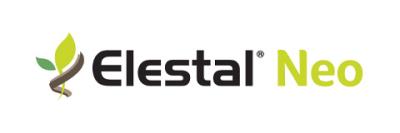Elestal Neo