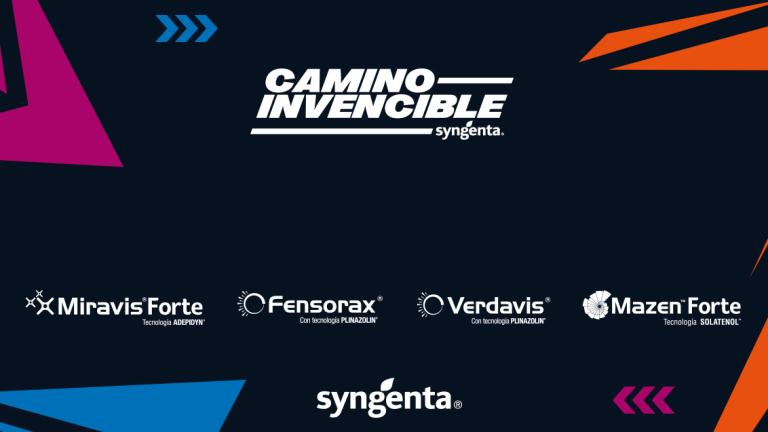 Camino Invencible 2024/2025