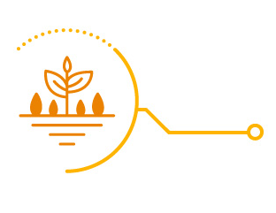 Infografia con impacto de mosca blanca en cultivo de soja. Conocé como Elestal®Neo puede ayudarte